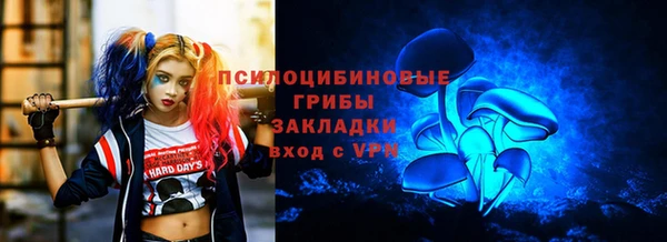 мет Кедровый