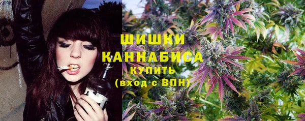 стафф Кодинск