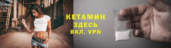 стафф Кодинск
