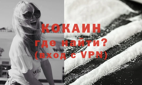 стафф Кодинск