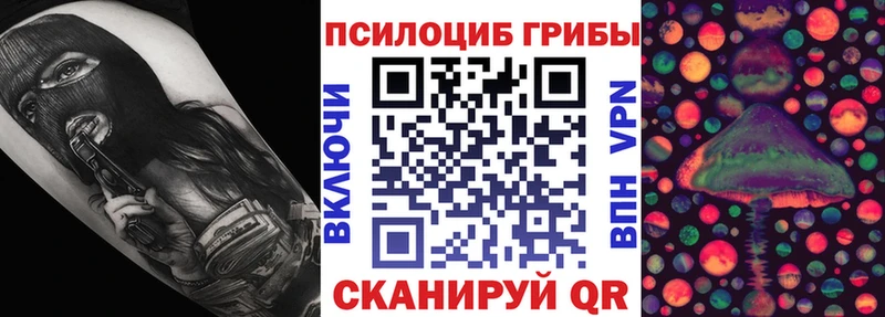 Купить где  Карабулак  Псилоцибиновые грибы мицелий 